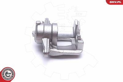 Brake Caliper 50SKV084