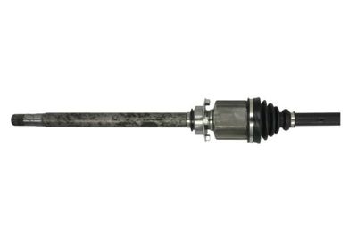 Drivaxel PASCAL G2F045PC för FIAT