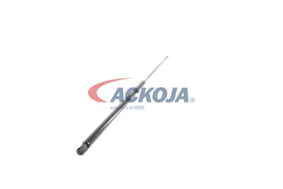 AMORTIZOR PORTBAGAJ ACKOJA A520065 53