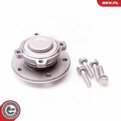 SET RULMENT ROATA ESEN SKV 29SKV117 1