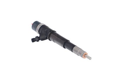 INJECTOR REMANTE 002003001201R 49