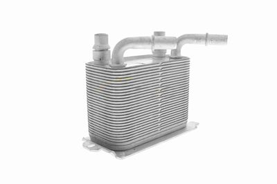 RADIATOR ULEI ULEI MOTOR VEMO V48600029 8