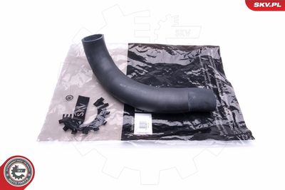 FURTUN EAR SUPRAALIMENTARE