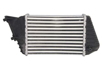 INTERCOOLER COMPRESOR THERMOTEC DAF009TT 1