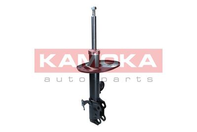 Shock Absorber 2000449