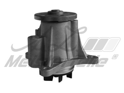 водна помпа, охлаждане на двигателя A.Z. Meisterteile AZMT-30-100-1364
