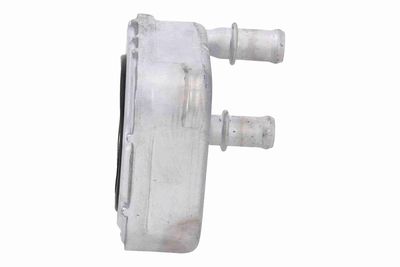 ÖLKüHLER MOTORöL VEMO V24600064 6