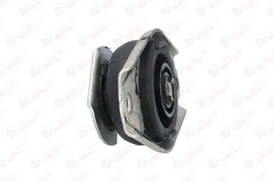 SUPORT MOTOR BIRTH 5349 11