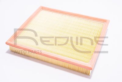 Filtro aria RED LINE 36DW000