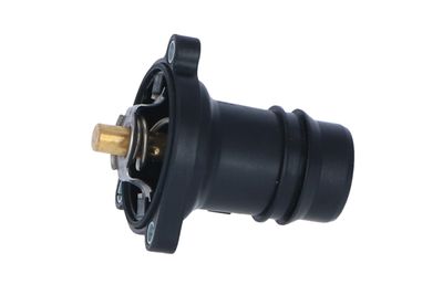 TERMOSTAT LICHID RACIRE NRF 725024 15