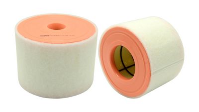 LUFTFILTER CHAMPION CAF101081R 1