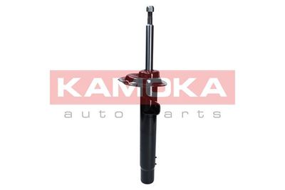 Shock Absorber 2000417