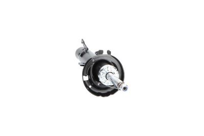 AMORTIZOR Kavo Parts SSA10381 15