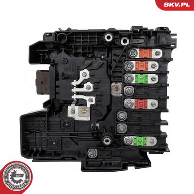 Riadiaca jednotka motora ESEN SKV 11SKV268