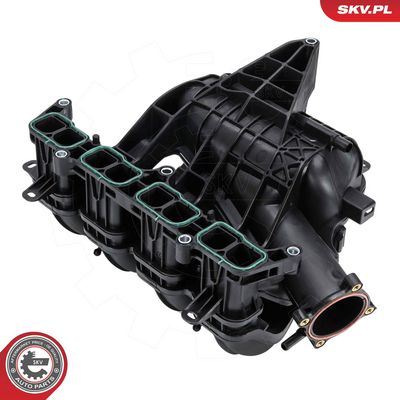 MODUL CONDUCTA ADMISIE ESEN SKV 49SKV103 2