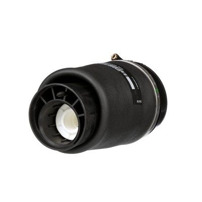 LUFTFEDER FAHRWERK Arnott A2934 12