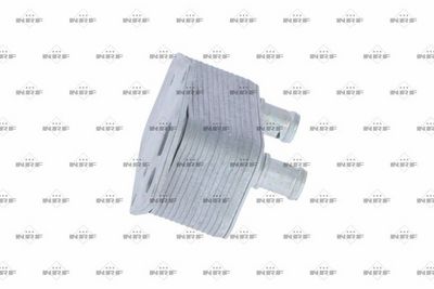 RADIATOR ULEI ULEI MOTOR NRF 31216 3