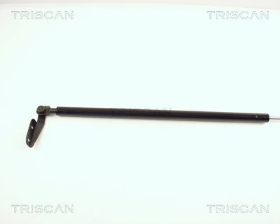 AMORTIZOR PORTBAGAJ KAWE 871068201 1