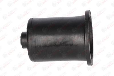 BUCSA ARBORE DE DIRECTIE BIRTH 4726 7