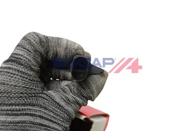 SET PLACUTE FRANA FRANA DISC