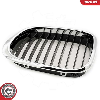 GRILA RADIATOR ESEN SKV 66SKV160 5