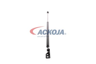 AMORTIZOR PORTBAGAJ ACKOJA A520066 47