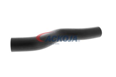 FURTUN RADIATOR ACKOJA A261601 56