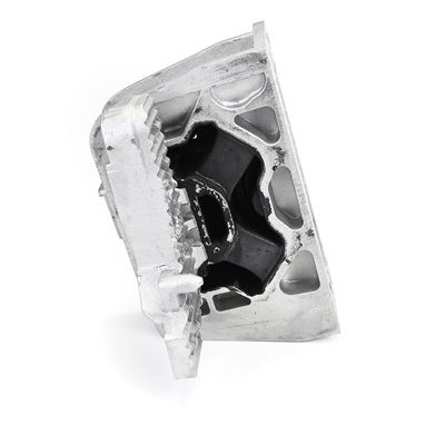 LAGERUNG MOTOR DELPHI TEM293 8