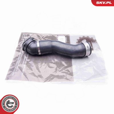 FURTUN EAR SUPRAALIMENTARE