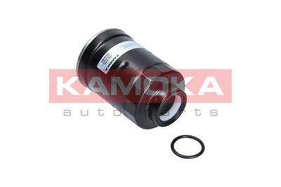 Fuel Filter F313101