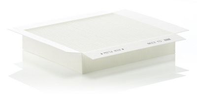 Filtras, salono oras