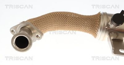 RADIATOR RECIRCULARE GAZE DE ESAPAMENT TRISCAN 881310059 1