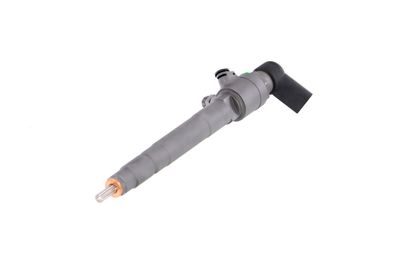 INJECTOR REMANTE 002003001053R 61