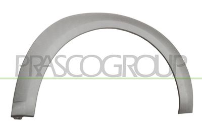 ELEMENTE DECORATIVE/PROTECTIE ARIPA