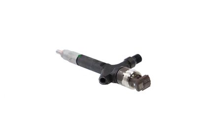 INJECTOR REMANTE 002003002227R 21