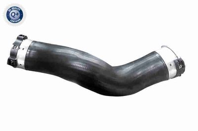 FURTUN EAR SUPRAALIMENTARE VAICO V204361