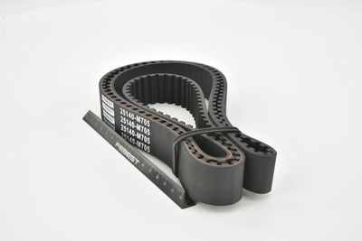 CUREA DE DISTRIBUTIE FEBEST 25140M705 10