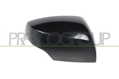 ACOPERIRE OGLINDA EXTERIOARA