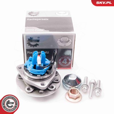 SET RULMENT ROATA ESEN SKV 29SKV035