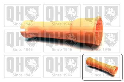 Воронка, указатель уровня масла QUINTON HAZELL QOD127 для VW PASSAT