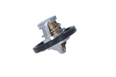 TERMOSTAT LICHID RACIRE NRF 725187 11