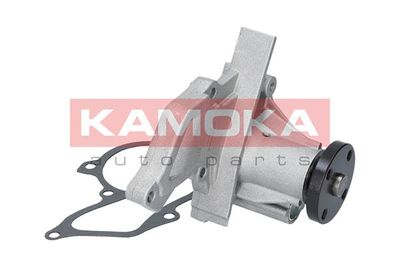 Water Pump, engine cooling T0134