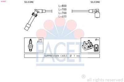 ZüNDLEITUNGSSATZ FACET 49947
