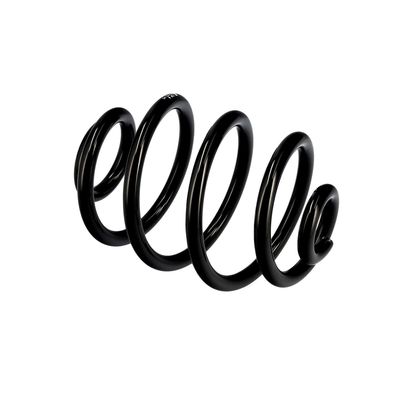 ARC SPIRAL EIBACH R10173 9