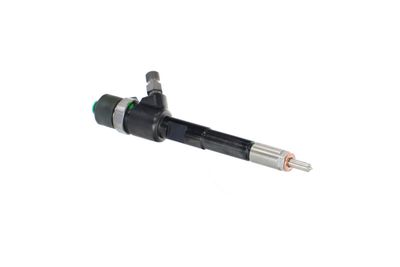 INJECTOR REMANTE 002003002244R 47