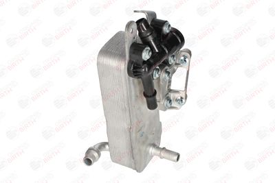 RADIATOR ULEI ULEI MOTOR BIRTH 80812 11