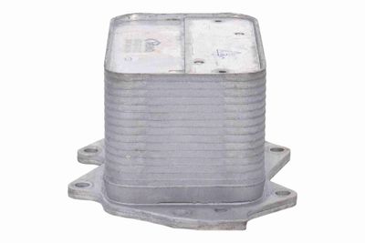 ÖLKüHLER MOTORöL VEMO V20600112 5