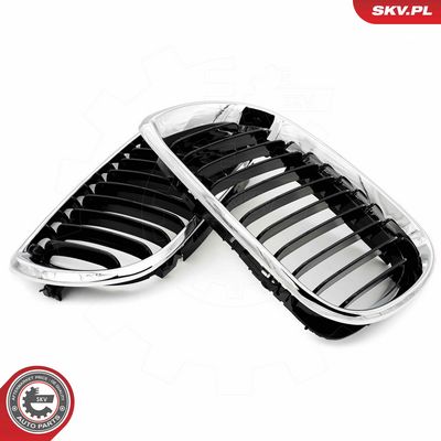 GRILA RADIATOR ESEN SKV 66SKV079 3