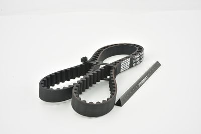 CUREA DE DISTRIBUTIE FEBEST 10140F14S3 43