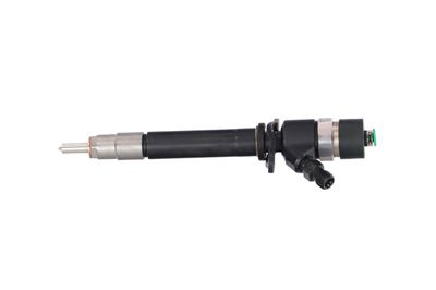 INJECTOR REMANTE 002003000196R 14